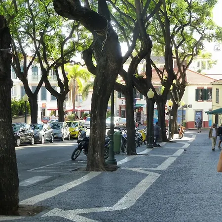 Shearwaternest Al Funchal (Madeira)