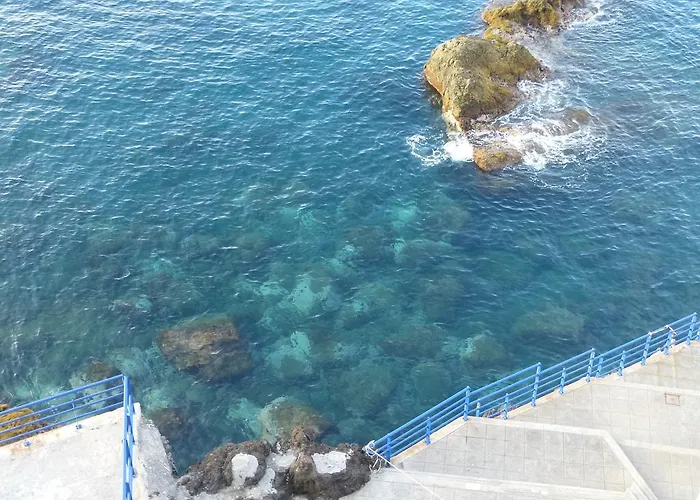 Shearwaternest Al Apartmán Funchal (Madeira)