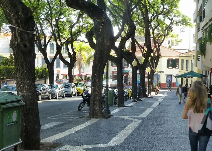 Shearwaternest Al Funchal (Madeira)
